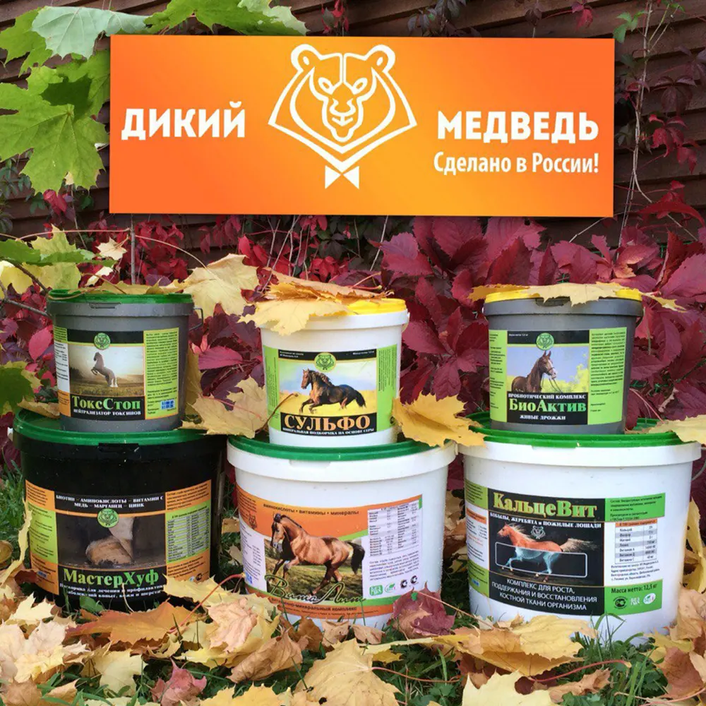 Продукция Дикий медведь